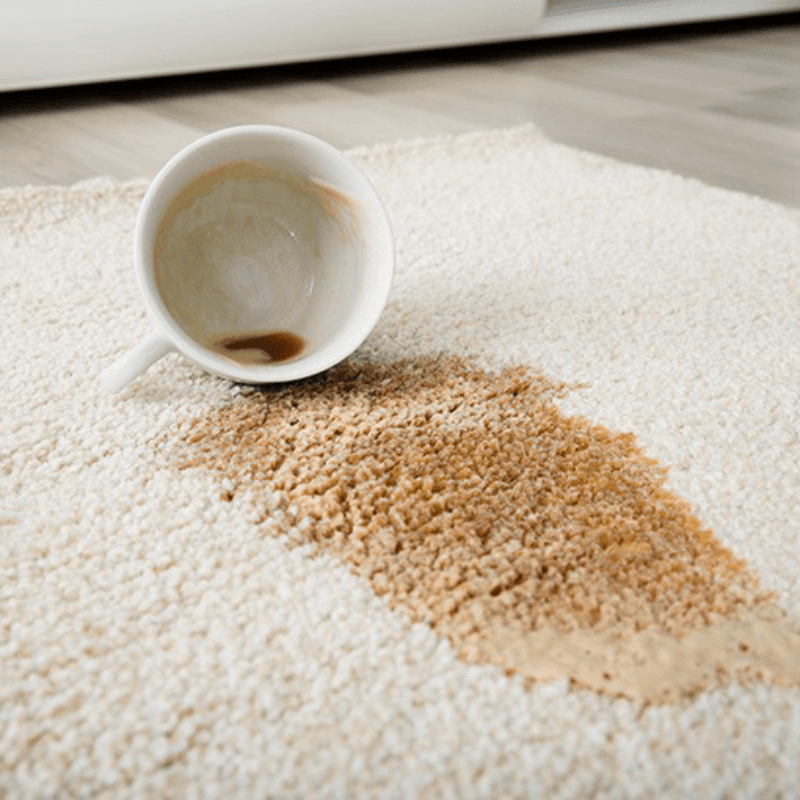 Cleaning Your Area Rugs | Carpet USA