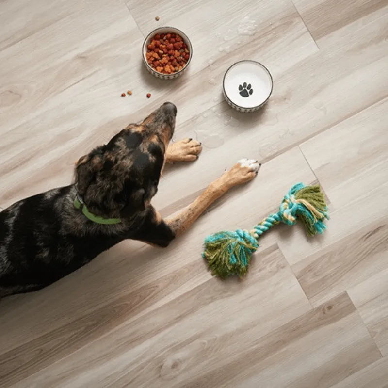 Laminate-Dirt-Debris-img Laminate-Dirt-Debris-img